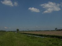 NL, Noord-Brabant, Oss, Groenendijk 4, Saxifraga-Jan van der Straaten