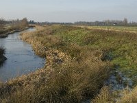 NL, Noord-Brabant, Oss, Haren, Groenendijk 2, Saxifraga-Jan van der Straaten