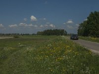 NL, Noord-Brabant, Oss, Haren, Maasdijk 1, Saxifraga-Jan van der Straaten