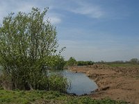 NL, Noord-Brabant, Oss, Hemelrijksche Waard 5, Saxifraga-Jan van der Straaten