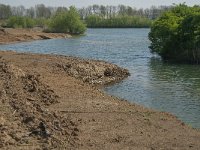 NL, Noord-Brabant, Oss, Hemelrijksche Waard 6, Saxifraga-Jan van der Straaten