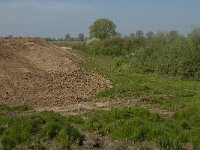 NL, Noord-Brabant, Oss, Hemelrijksche Waard 9, Saxifraga-Jan van der Straaten