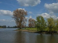 NL, Noord-Brabant, Oss, Hertogswetering 12, Saxifraga-Jan van der Straaten