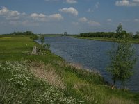 NL, Noord-Brabant, Oss, Keent 2, Saxifraga-Jan van der Straaten