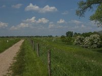 NL, Noord-Brabant, Oss, Keent 7, Saxifraga-Jan van der Straaten