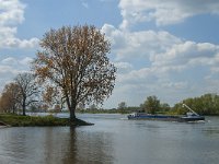 NL, Noord-Brabant, Oss, Maas 3, Saxifraga-Jan van der Straaten