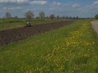 NL, Noord-Brabant, Oss, Maasdijk 1, Saxifraga-Jan van der Straaten