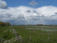 NL, Noord-Brabant, Oss, Marense eendenkooi 1, Saxifraga-Jan van der Straaten