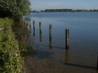 NL, Noord-Brabant, Oss, Osse Ham 10, Saxifraga-Jan van der Straaten