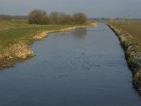 NL, Noord-Brabant, Oss, Strijbeemden, Groenendijk 7, Saxifraga-Jan van der Straaten