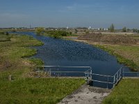 NL, Noord-Brabant, Oss, Teefelse Wetering 2, Saxifraga-Jan van der Straaten