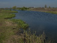 NL, Noord-Brabant, Oss, Teefelse Wetering 3, Saxifraga-Jan van der Straaten