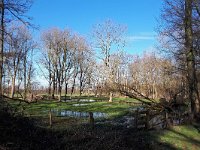 NL, Noord-Brabant, Reusel-De Mierden, Landgoed Wellenseind 5, Saxifraga-Tom Heijnen