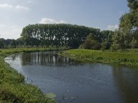 NL, Noord-Brabant, Sint-Michielsgestel, Halder 1, Saxifraga-Jan van der Straaten