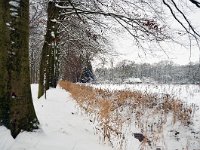 NL, Noord-Brabant, Sint-Michielsgestel, Landgoed Zegenwerp 1, Saxifraga-Tom Heijnen