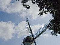 NL, Noord-Brabant, Sint-Michielsgestel, Molen Genenberg 1, Saxifraga-Jan van der Straaten