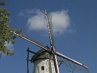 NL, Noord-Brabant, Sint-Michielsgestel, Molen Genenberg 2, Saxifraga-Jan van der Straaten