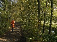 NL, Noord-Brabant, Sint-Michielsgestel, Patersberg 1, Saxifraga-Jan van der Straaten