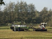 NL, Noord-Brabant, Sint-Michielsgestel, Patersberg 8, Saxifraga-Jan van der Straaten