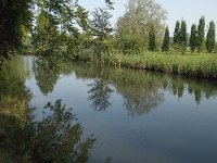 NL, Noord-Brabant, Sint-Michielsgestel, Zegenworp 3, Saxifraga-Jan van der Straaten