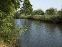 NL, Noord-Brabant, Sint-Michielsgestel, Zegenworp 5, Saxifraga-Jan van der Straaten