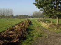 NL, Noord-Brabant, Sint-Michielsgestel, de Pettelaar 4, Saxifraga-Jan van der Straaten