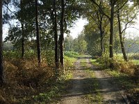 NL, Noord-Brabant, Sint-Michielsgestel, de Pettelaar 5, Saxifraga-Jan van der Straaten