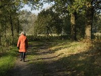 NL, Noord-Brabant, Sint-Michielsgestel, de Pettelaar 6, Saxifraga-Jan van der Straaten