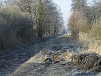 NL, Noord-Brabant, Someren, Peelrijt 3, Saxifraga-Marijke Verhagen