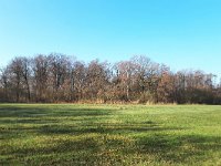 NL, Noord-Brabant, Son en Breugel, Breugelse Beemden 2, Saxifraga-Tom Heijnen