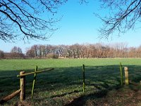 NL, Noord-Brabant, Son en Breugel, Breugelse Beemden 3, Saxifraga-Tom Heijnen