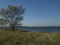 NL, Noord-Brabant, Steenbergen, Dintelse Gorzen 11, Saxifraga-Jan van der Straaten