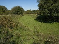 NL, Noord-Brabant, Steenbergen, Dintelse Gorzen 14, Saxifraga-Jan van der Straaten