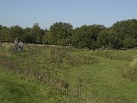 NL, Noord-Brabant, Steenbergen, Dintelse Gorzen 15, Saxifraga-Jan van der Straaten