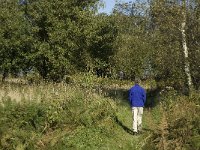 NL, Noord-Brabant, Steenbergen, Dintelse Gorzen 5, Saxifraga-Jan van der Straaten