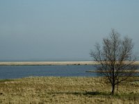 NL, Noord-Brabant, Steenbergen, Slikken van de Heen 1, Saxifraga-Jan van der Straaten