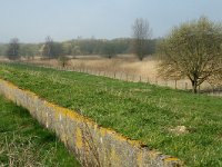 NL, Noord-Brabant, Steenbergen, Slikken van de Heen, Oude Zeedijk 1, Saxifraga-Jan van der Straaten