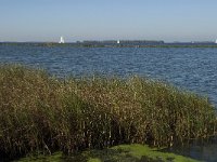 NL, Noord-Brabant, Steenbergen, Volkerak 1, Saxifraga-Jan van der Straaten