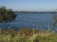 NL, Noord-Brabant, Steenbergen, Volkerak 2, Saxifraga-Jan van der Straaten