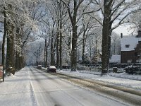 NL, Noord-Brabant, Tilburg, Bredaseweg 6, Saxifraga-Jan van der Straaten