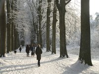 NL, Noord-Brabant, Tilburg, De Oude Warande 15, Saxifraga-Jan van der Straaten