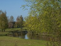 NL, Noord-Brabant, Tilburg, Donge 7, Saxifraga-Jan van der Straaten