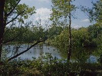 NL, Noord-Brabant, Tilburg, Leemkuilen 6, Saxifraga-Jan van der Straaten