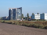 NL, Noord-Brabant, Tilburg, Reeshof 3, Saxifraga-Jan van der Straaten