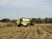 NL, Noord-Brabant, Valkenswaard, De Plateaux 18, Saxifraga-Jan van der Straaten