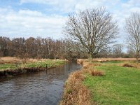 NL, Noord-Brabant, Valkenswaard, Dommel in De Malpie 15, Saxifraga-Tom Heijnen