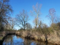 NL, Noord-Brabant, Valkenswaard, Dommel in De Malpie 2, Saxifraga-Tom Heijnen