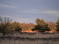 NL, Noord-Brabant, Valkenswaard, Dommel in De Malpie 27, Saxifraga-Tom Heijnen