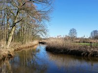 NL, Noord-Brabant, Valkenswaard, Dommel in De Malpie 3, Saxifraga-Tom Heijnen