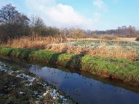 NL, Noord-Brabant, Valkenswaard, Dommel valley in De Malpie 2, Saxifraga-Tom Heijnen